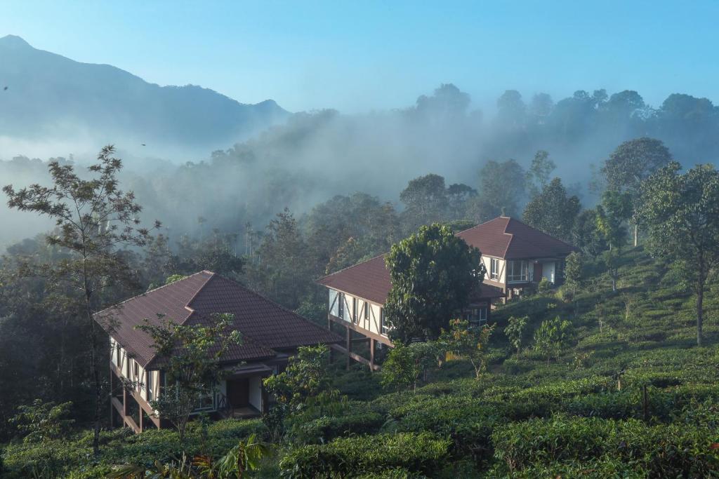 Jeevess Retreat Resort Wayanad